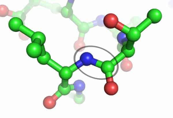 peptidebond